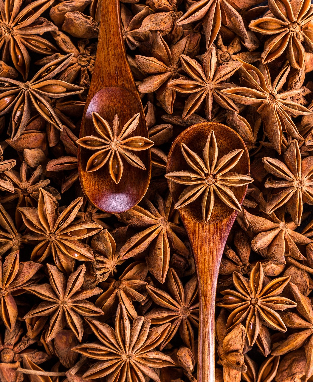 AMS 53 Trading - Foodstuff - Star Anise